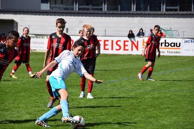 17日进行 17日进行