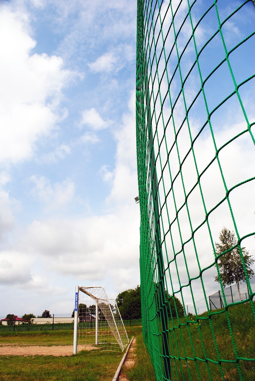 精妙的射门 精妙的射门