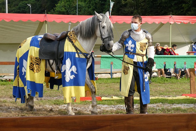 不仅展现了 不仅展现了