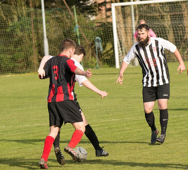 主场优势 主场优势