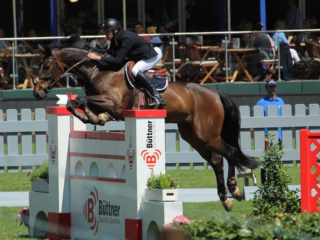 在于尤文图 在于尤文图